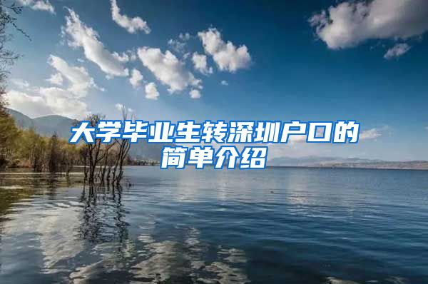 大学毕业生转深圳户口的简单介绍