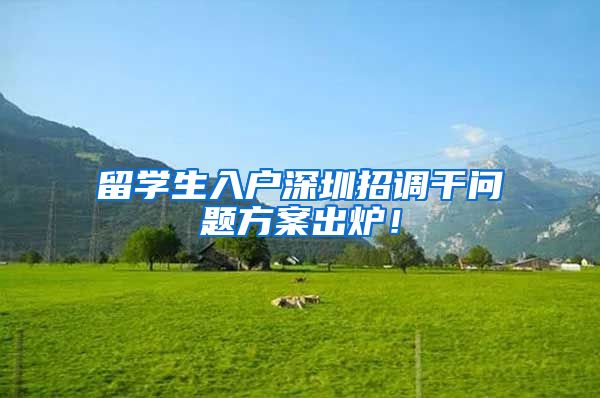 留学生入户深圳招调干问题方案出炉！