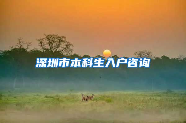 深圳市本科生入户咨询
