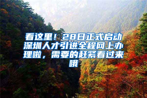 看这里！28日正式启动深圳人才引进全程网上办理啦，需要的赶紧看过来哦