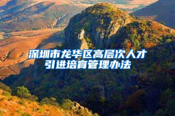 深圳市龙华区高层次人才引进培育管理办法