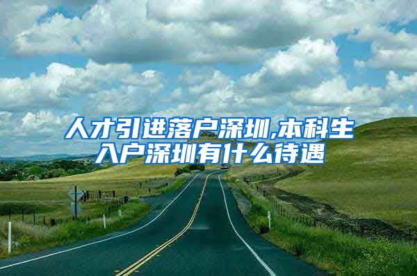 人才引进落户深圳,本科生入户深圳有什么待遇