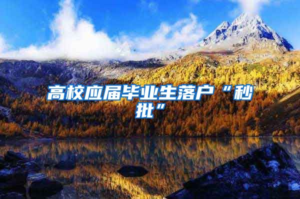 高校应届毕业生落户“秒批”
