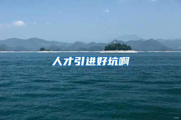 人才引进好坑啊