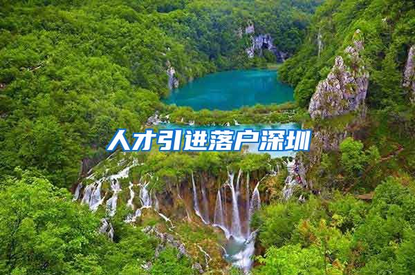 人才引进落户深圳
