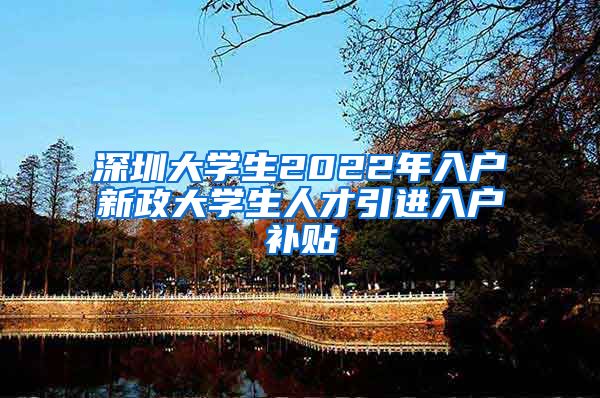 深圳大学生2022年入户新政大学生人才引进入户补贴