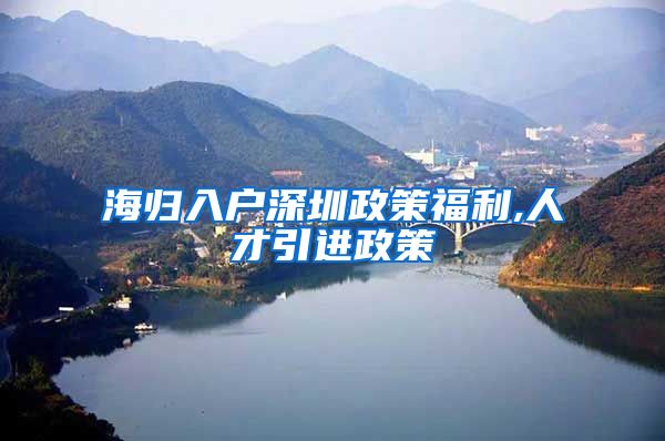 海归入户深圳政策福利,人才引进政策