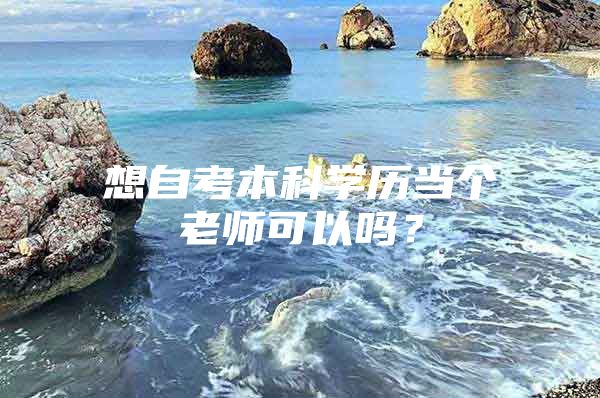 想自考本科学历当个老师可以吗？