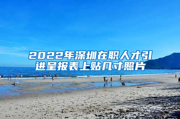 2022年深圳在职人才引进呈报表上贴几寸照片