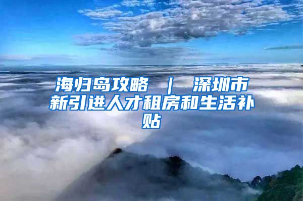 海归岛攻略 ｜ 深圳市新引进人才租房和生活补贴