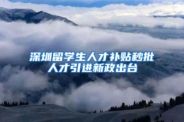 深圳留学生人才补贴秒批人才引进新政出台