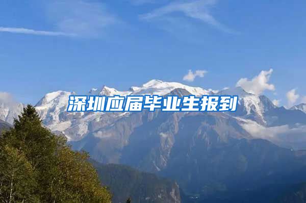 深圳应届毕业生报到