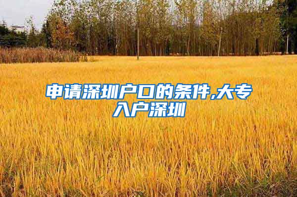 申请深圳户口的条件,大专入户深圳