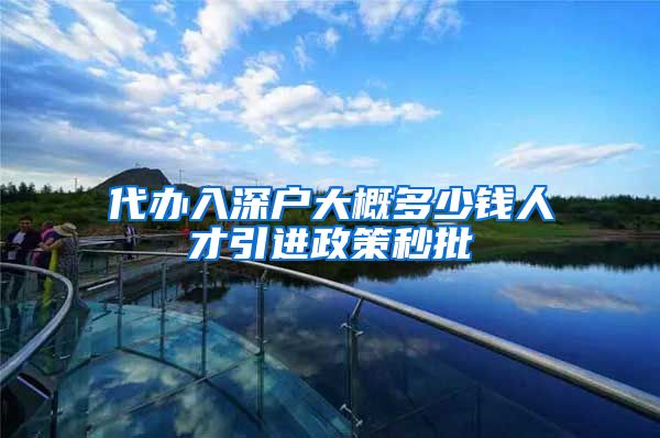 代办入深户大概多少钱人才引进政策秒批