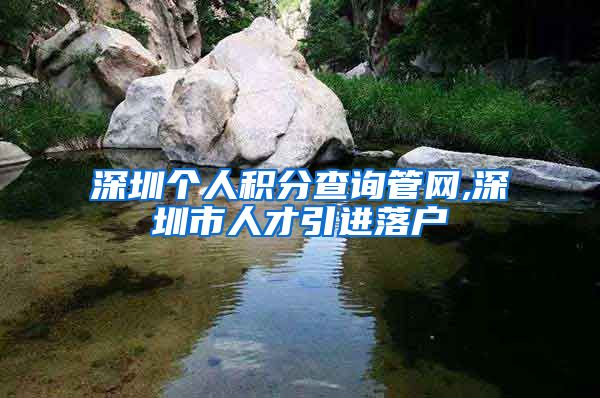 深圳个人积分查询管网,深圳市人才引进落户