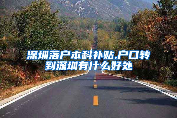 深圳落户本科补贴,户口转到深圳有什么好处