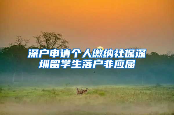 深户申请个人缴纳社保深圳留学生落户非应届