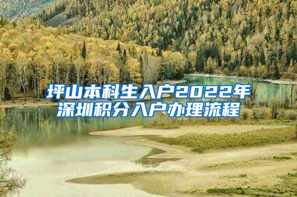 坪山本科生入户2022年深圳积分入户办理流程