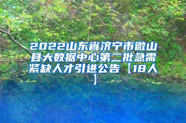 2022山东省济宁市微山县大数据中心第二批急需紧缺人才引进公告【18人】