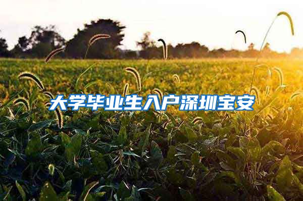 大学毕业生入户深圳宝安