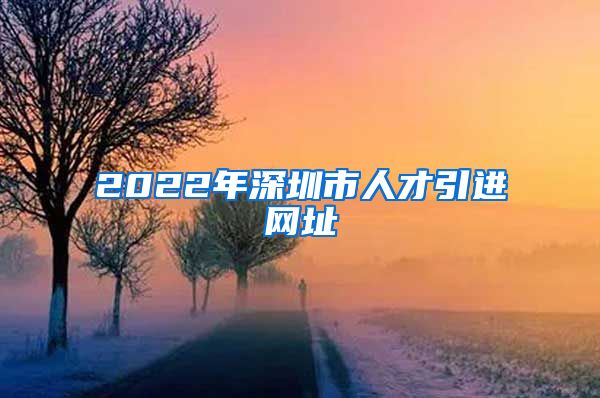 2022年深圳市人才引进网址