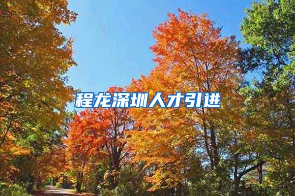 程龙深圳人才引进