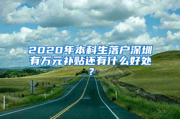 2020年本科生落户深圳有万元补贴还有什么好处？