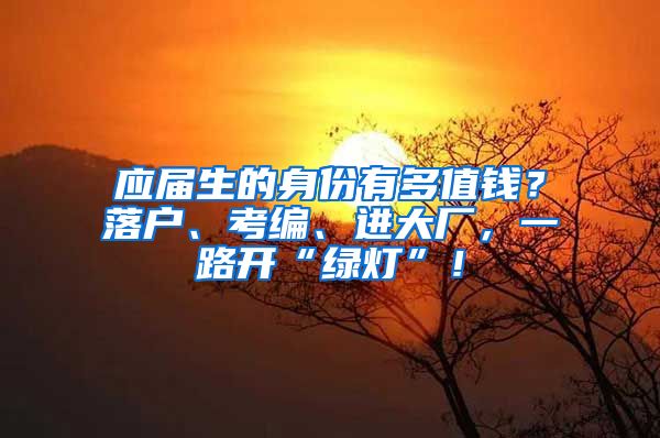 应届生的身份有多值钱？落户、考编、进大厂，一路开“绿灯”！