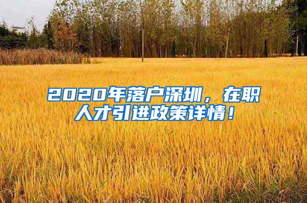 2020年落户深圳，在职人才引进政策详情！