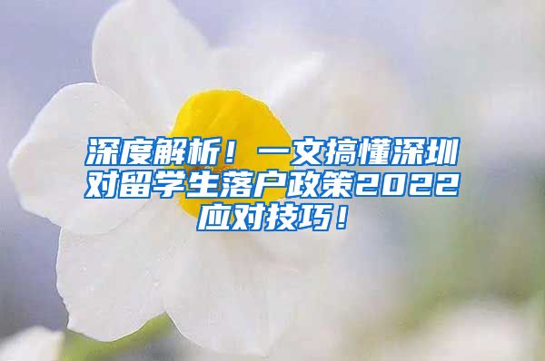 深度解析！一文搞懂深圳对留学生落户政策2022应对技巧！