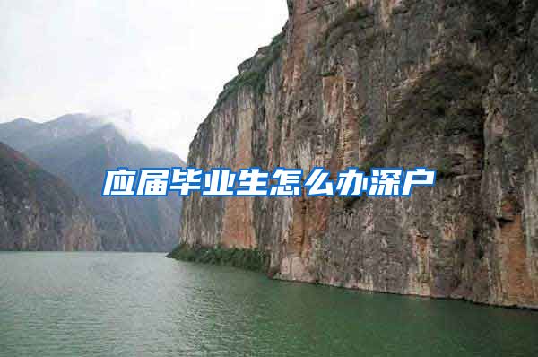 应届毕业生怎么办深户