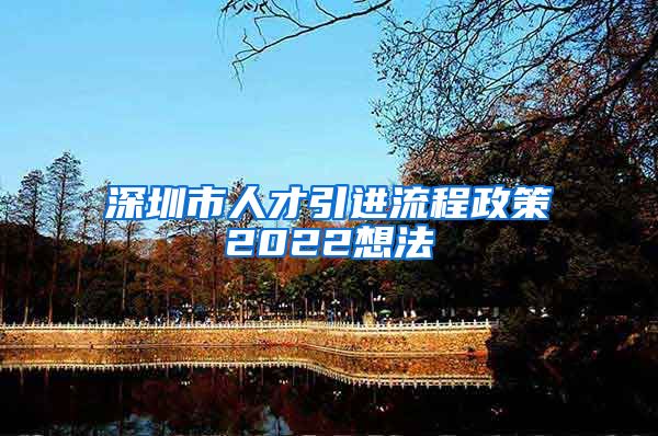 深圳市人才引进流程政策2022想法