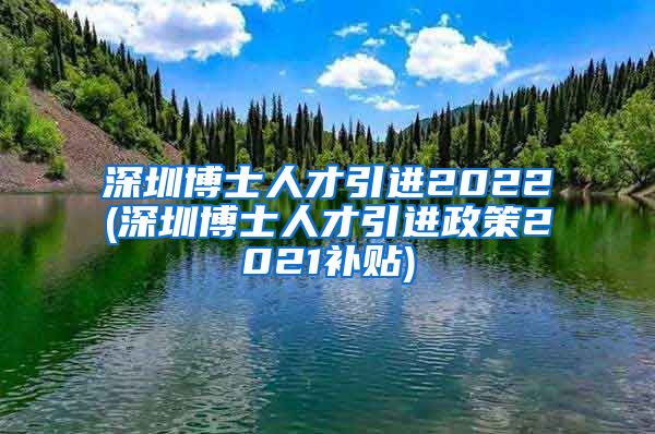 深圳博士人才引进2022(深圳博士人才引进政策2021补贴)