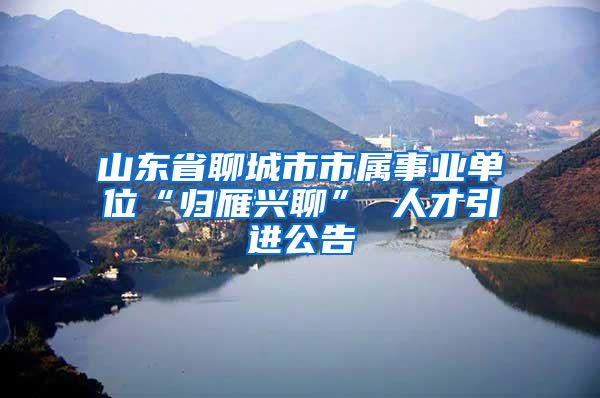 山东省聊城市市属事业单位“归雁兴聊” 人才引进公告