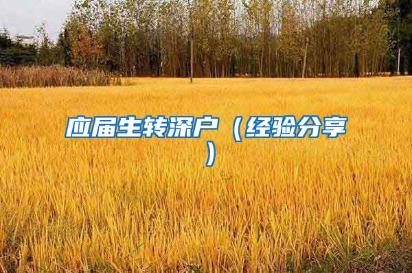 应届生转深户（经验分享）