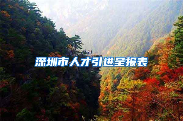 深圳市人才引进呈报表