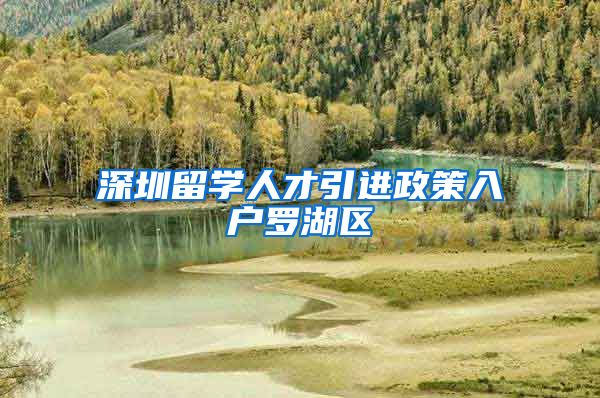 深圳留学人才引进政策入户罗湖区