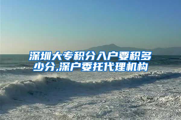 深圳大专积分入户要积多少分,深户委托代理机构