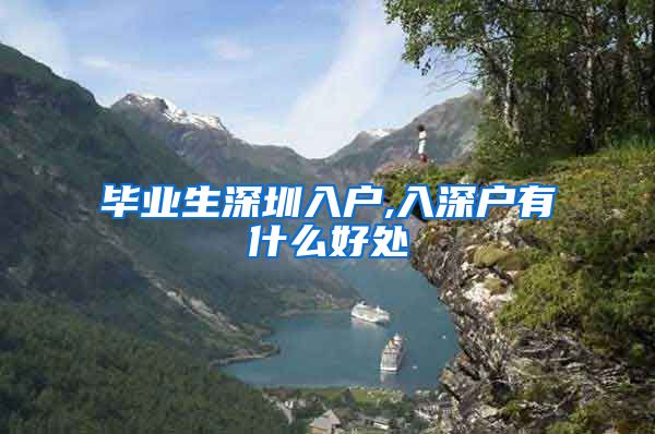 毕业生深圳入户,入深户有什么好处