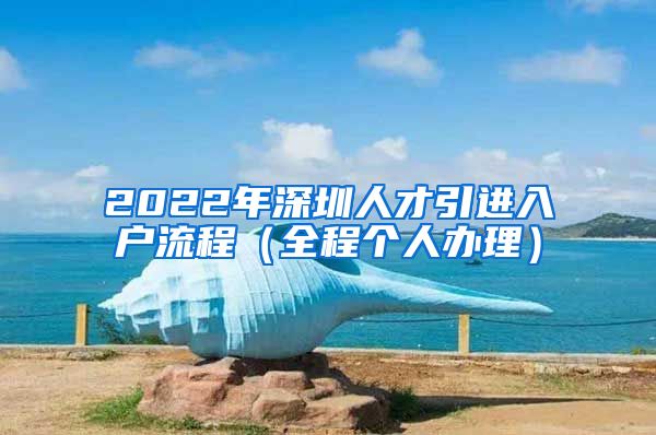 2022年深圳人才引进入户流程（全程个人办理）