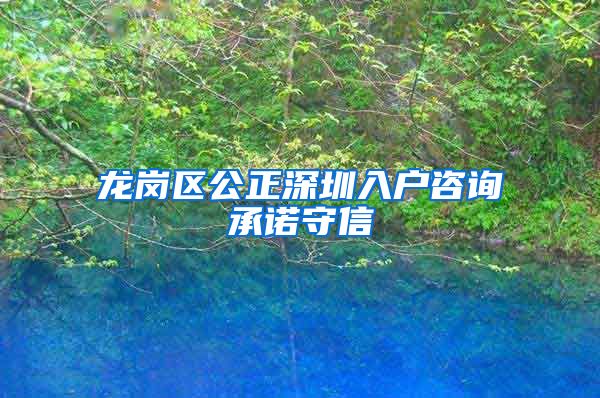 龙岗区公正深圳入户咨询承诺守信