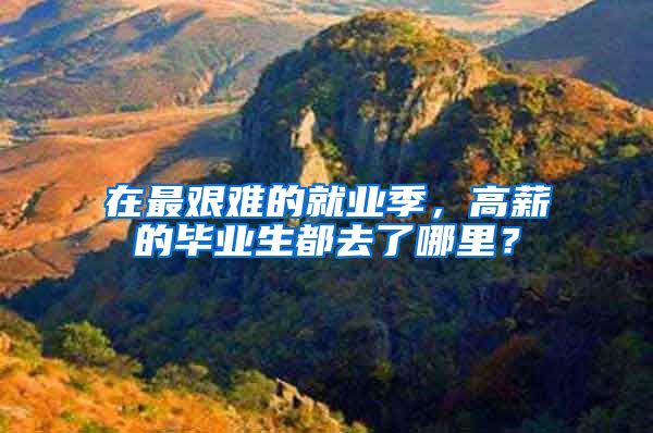 在最艰难的就业季，高薪的毕业生都去了哪里？