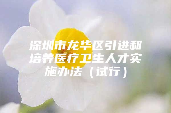 深圳市龙华区引进和培养医疗卫生人才实施办法（试行）