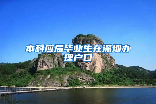 本科应届毕业生在深圳办理户口