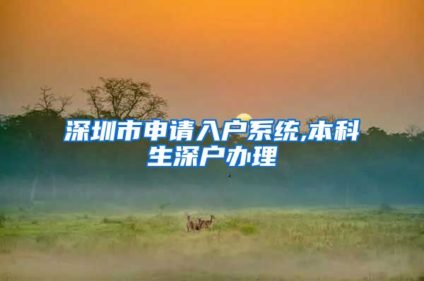 深圳市申请入户系统,本科生深户办理