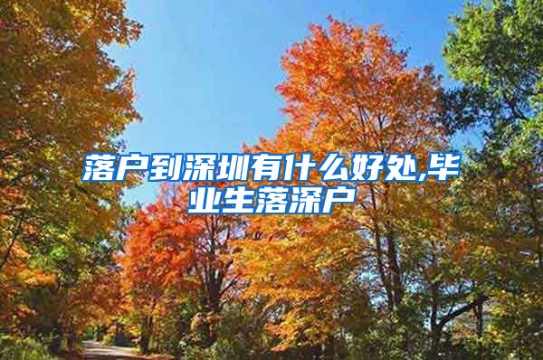 落户到深圳有什么好处,毕业生落深户