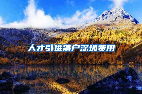 人才引进落户深圳费用