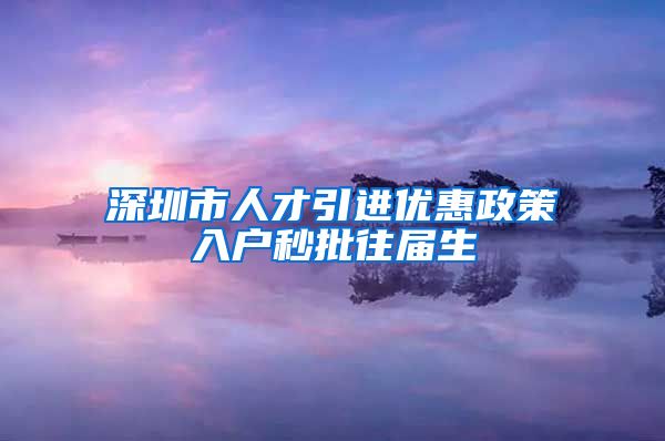 深圳市人才引进优惠政策入户秒批往届生