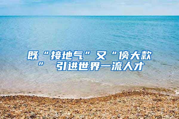 既“接地气”又“傍大款” 引进世界一流人才