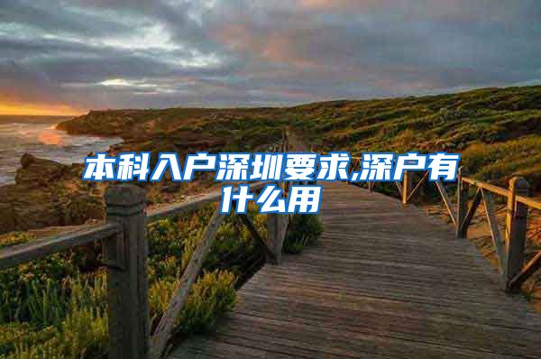 本科入户深圳要求,深户有什么用